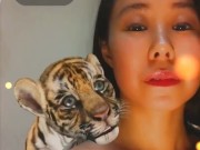 Cute Tiger - Screenshot 15 of 16 - Small Boobs