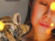 Cute Tiger - Screenshot 2 of 16 - Tiny Tits