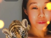 Cute Tiger - Screenshot 4 of 16 - Petite Asian
