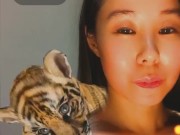 Cute Tiger - Screenshot 5 of 16 - HD