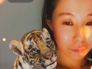 Cute Tiger - Screenshot 6 of 16 - Tiny Tits