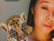 Cute Tiger - Screenshot 9 of 16 - HD