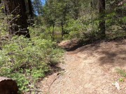 outdoor fun with latina hotwife 3/16