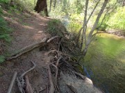 outdoor fun with latina hotwife 4/16