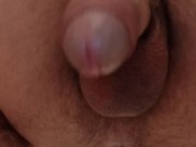 Мой хуй ссыт утром на унитазе. My dick pissing.
