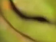 Caught in 4k your earlobes 16/16