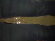 Wetting My Skinny Jeans In The Forest By Night 12/16