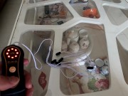 中国小伙使用跳蛋自慰高潮两次 - Screenshot 2 of 16 - Masturbate