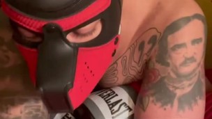 Collared Pup Takes Rough Dick 
