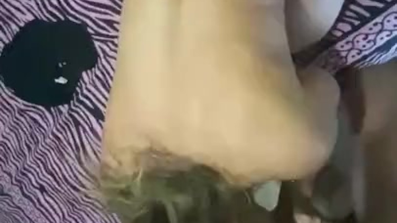 AMATEUR SEX - Free Sex Video - RedTube