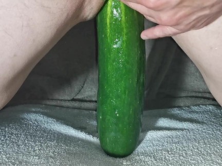 Long cucumber anal insertion all in | horsengine