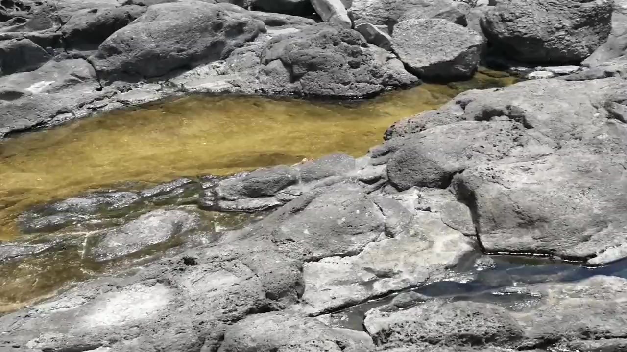 Outdoor peeing over my pretty ass - RedTube