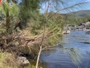 Outdoor Exhibitionist Fuck Female Orgasm and Creampie. Spectators 13/16