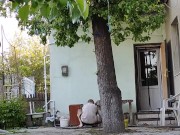 Order in the yard 2/16