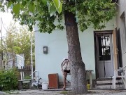 Order in the yard 3/16