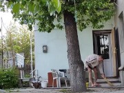 Order in the yard 4/16