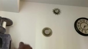 Give u a show ( cum shot)