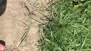 Feet getting nice a dirty outside 