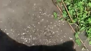 Feet playing in a puddle