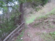 Blowjob in the mountains 8/16