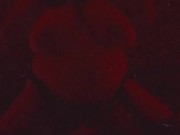 Bouncing titties - Screenshot 9 of 16 - Bouncing Tits