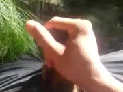 Disfrutando el bosque 