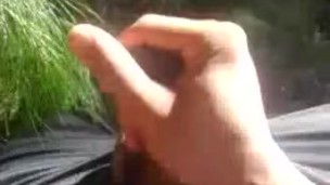 Disfrutando el bosque 