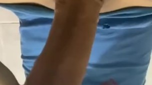 Paja rapida