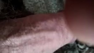 Играюсь с писей