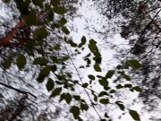 Кунилингус в общественном месте от первого лица - lesbian_illusion 1/16