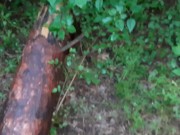 Кунилингус в общественном месте от первого лица - lesbian_illusion 2/16