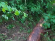 Кунилингус в общественном месте от первого лица - lesbian_illusion 7/16