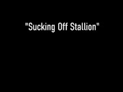 Insatiable Huge Titty Angelina Castro Destroys Her Stockings N Gets Dicked! 1/16