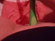Long floor duster handle 1 I love it! Will do more w/ this thing