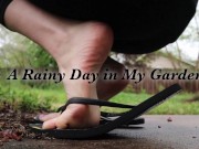 A Rainy Day in my Garden - HD TRAILER