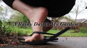A Rainy Day in my Garden - HD TRAILER