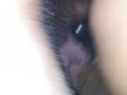 Quick preview. Full vid for 9.90 14/16