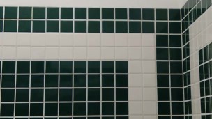 From a toilets point on view (TPOV)