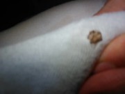 Think Anyone Will Notice WET HAIRY PUSSY? ** FREE FULL LENGTH VIDEO**  Content Now @ ManyVids OF 5/16