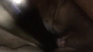 J’aime tellement jouer avec ma grosse chatte 