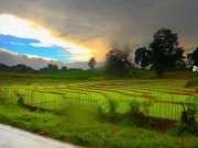 Hard Fuck With Village Boy Malathi Akka 1/16