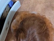 POV Facial in His College Dorm for Final Exams Luck - Heather Kane 15/16