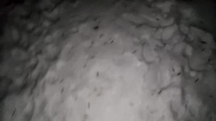 Босиком по снегу