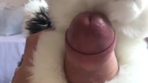 Jacking off again with my wolf plush