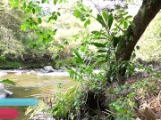 Bañador Legend Of Zelda En La Naturaleza | Kelly Compulsive 16/16