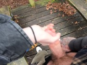 Friend makes me cum in public park 14/16