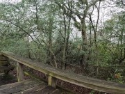 Friend makes me cum in public park 5/16