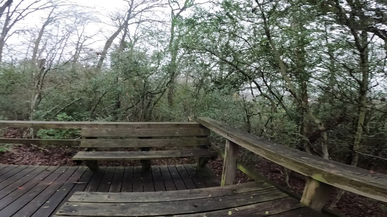 Friend makes me cum in public park - RedTube