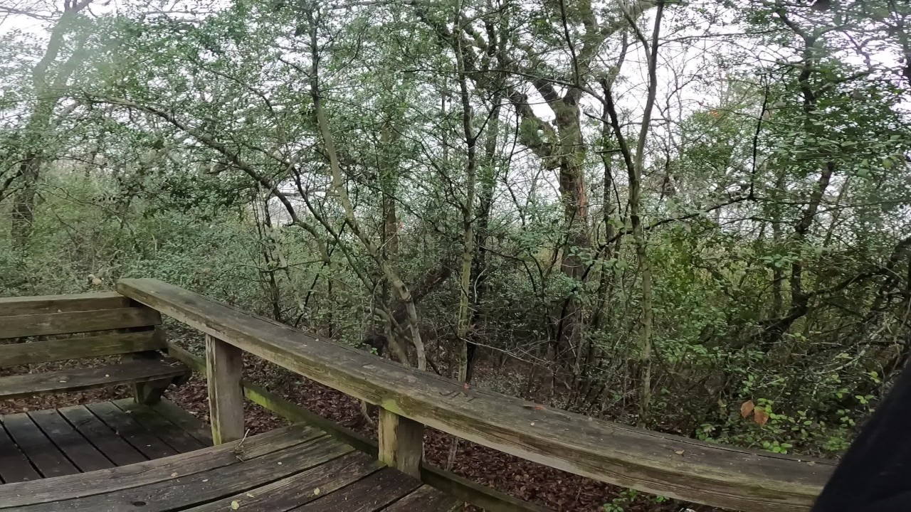 Friend makes me cum in public park - RedTube