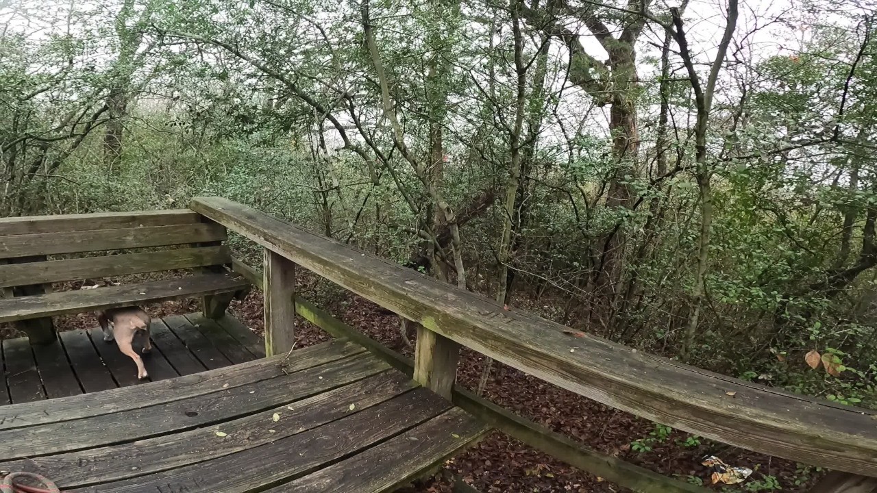 Friend makes me cum in public park - RedTube